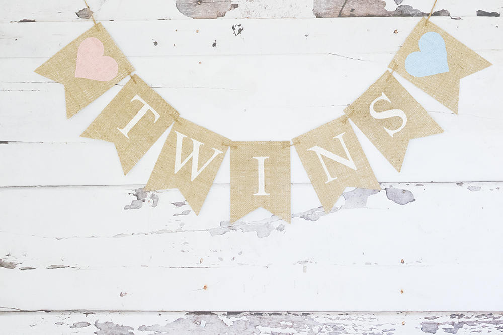 Twins Banner, Twins Baby Shower Decor, Baby Shower Decoration, Twins Nursery Decor, B643