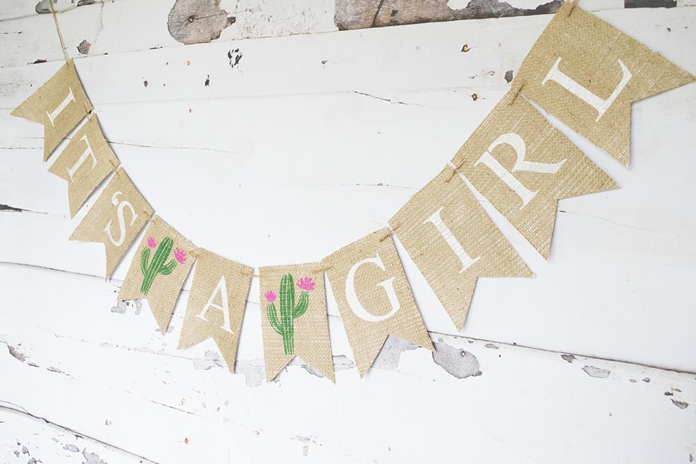 Fiesta Baby Shower Decor, Cactus Baby Shower Banner, Girl Baby Shower Decoration, Summer Gender Reveal, It's A Girl Banner,  B707