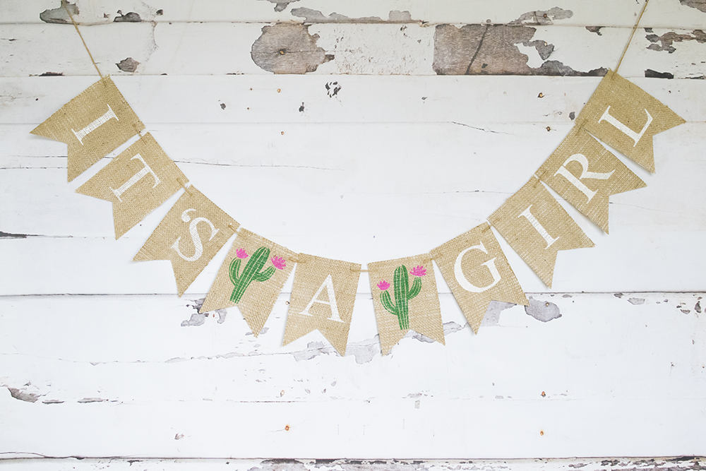 Fiesta Baby Shower Decor, Cactus Baby Shower Banner, Girl Baby Shower Decoration, Summer Gender Reveal, It's A Girl Banner,  B707