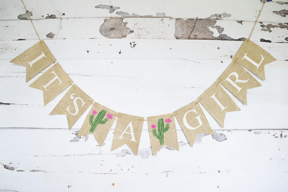 Fiesta Baby Shower Decor, Cactus Baby Shower Banner, Girl Baby Shower Decoration, Summer Gender Reveal, It's A Girl Banner,  B707