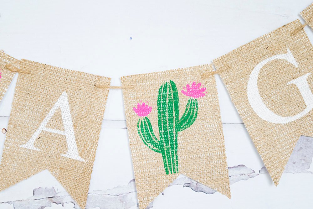 Fiesta Baby Shower Decor, Cactus Baby Shower Banner, Girl Baby Shower Decoration, Summer Gender Reveal, It's A Girl Banner,  B707