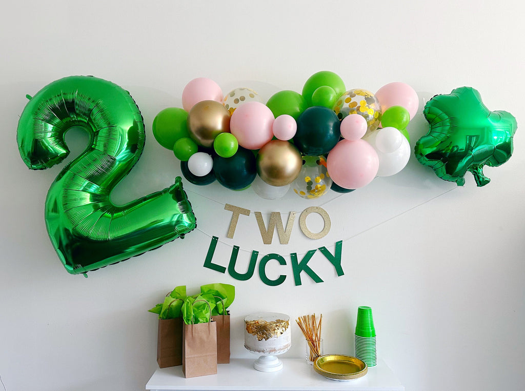 2nd Birthday Party Decorations, St. Patrick's Day Theme Party Kit, Shamrock Balloon, Two Lucky Banner, Pink & Green Balloon Garland, COL268