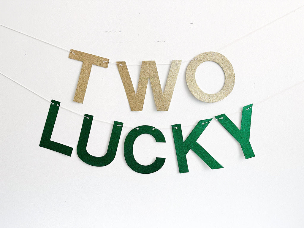 2nd Birthday Party Decorations, St. Patrick's Day Theme Party Kit, Shamrock Balloon, Two Lucky Banner, Pink & Green Balloon Garland, COL268