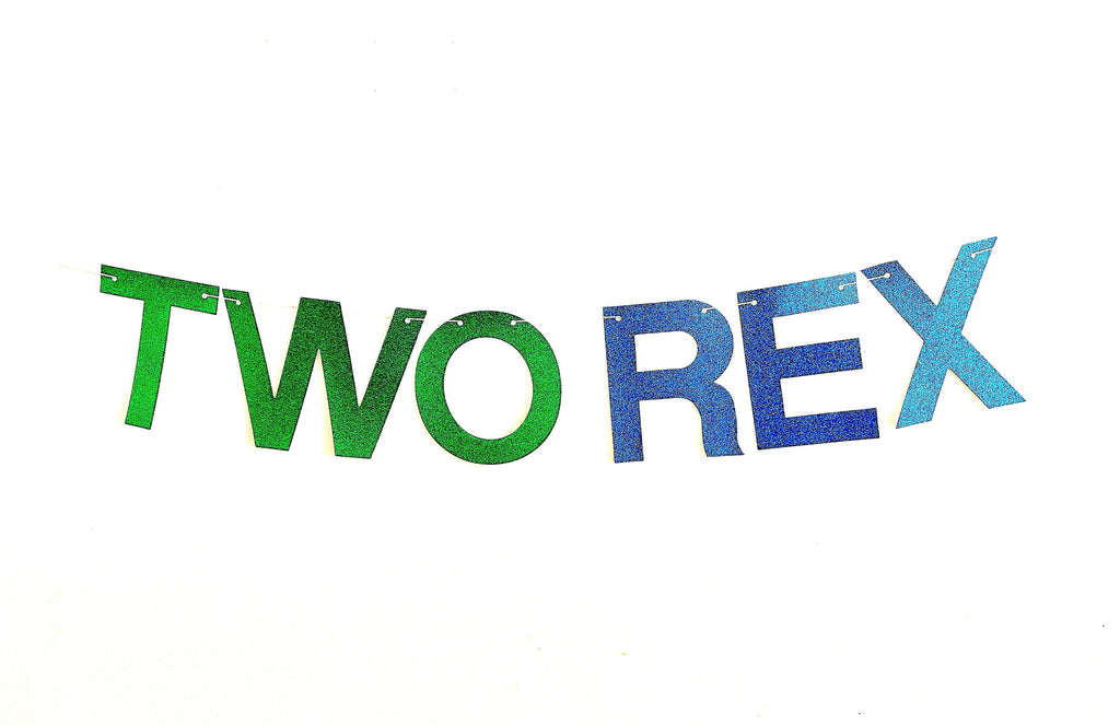 Two Rex Birthday Party | Dinosaur Balloons | Second Birthday Party Decor | T-Rex Party Props | Dinosaur Party Decor | COL275