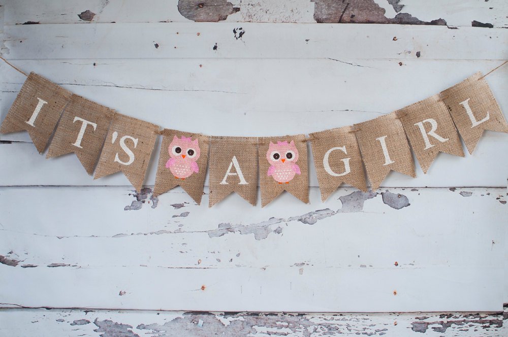 It's A Girl Banner, Owl Banner, Owl Baby Shower Banner, Baby Girl Banner, Gender Reveal Banner, Baby Shower Banner, B218