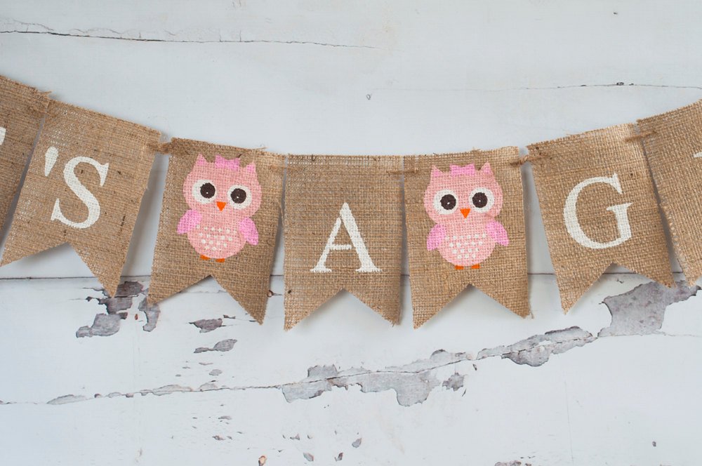 It's A Girl Banner, Owl Banner, Owl Baby Shower Banner, Baby Girl Banner, Gender Reveal Banner, Baby Shower Banner, B218