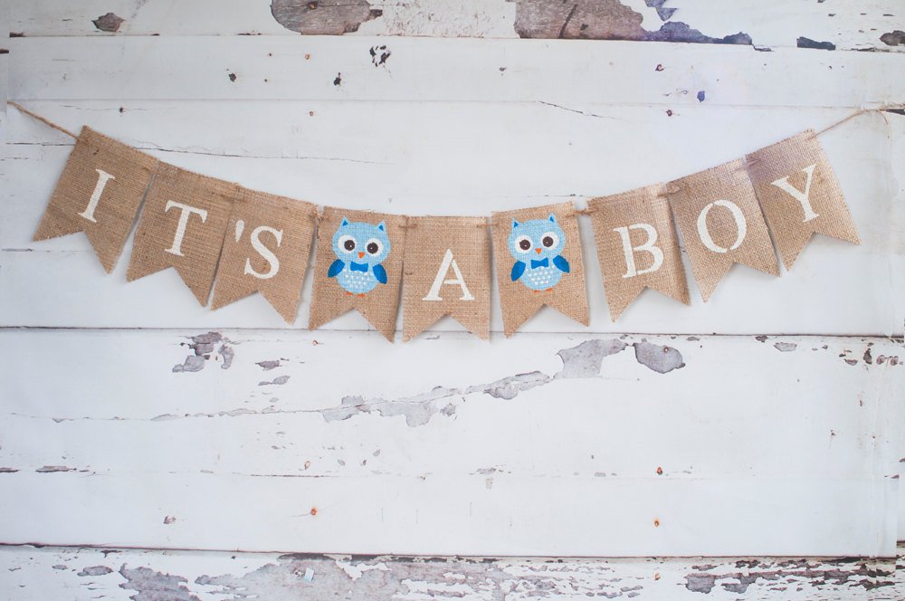 It's A Boy Banner, Owl  Banner, Owl Baby Shower Banner, Baby Boy Banner, Gender Reveal Banner, Baby Shower Banner, B219
