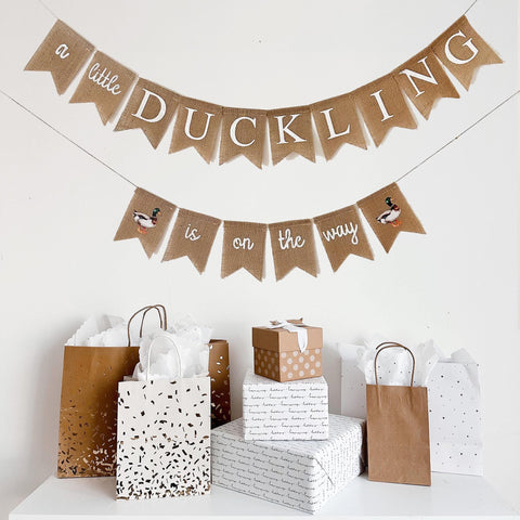 Baby Shower Theme