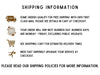 a shipping information section with icons and text providing details about shipping policies.