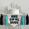 This is a 6.5 x 7 inch center flag with the words One Cool Dude in a chunky black retro font. A pair of blue sunglasses make the O&#39;s. There are 3 tassels on either side that are light aqua, gray and black in color with wooden beads in between.