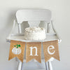 Fall 1st Birthday Decor, Pumpkin One Banner