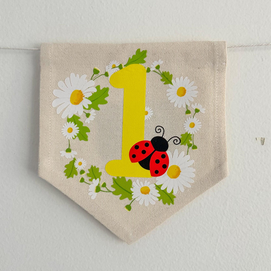 Ladybug 1st Birthday Party Decorations, Little Bug First Birthday High Chair Banner, Daisy First Birthday Theme Décor