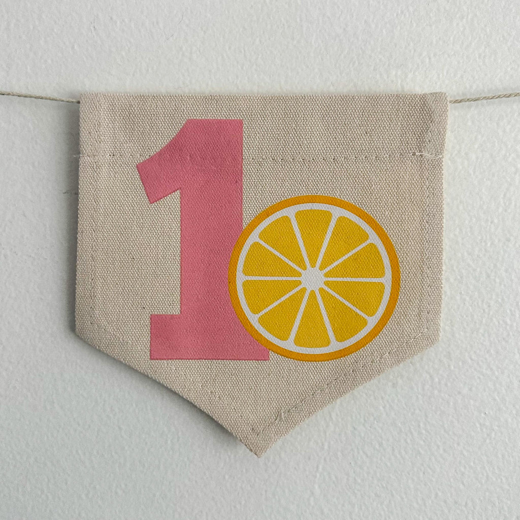 Lemon 1st Birthday Tassel Banner | Pink Lemonade First Birthday Party Highchair Decoration