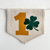 St. Patrick's Day 1st Birthday Tassel Banner, Lucky One Highchair Decoration, Shamrock First Birthday Party Sign