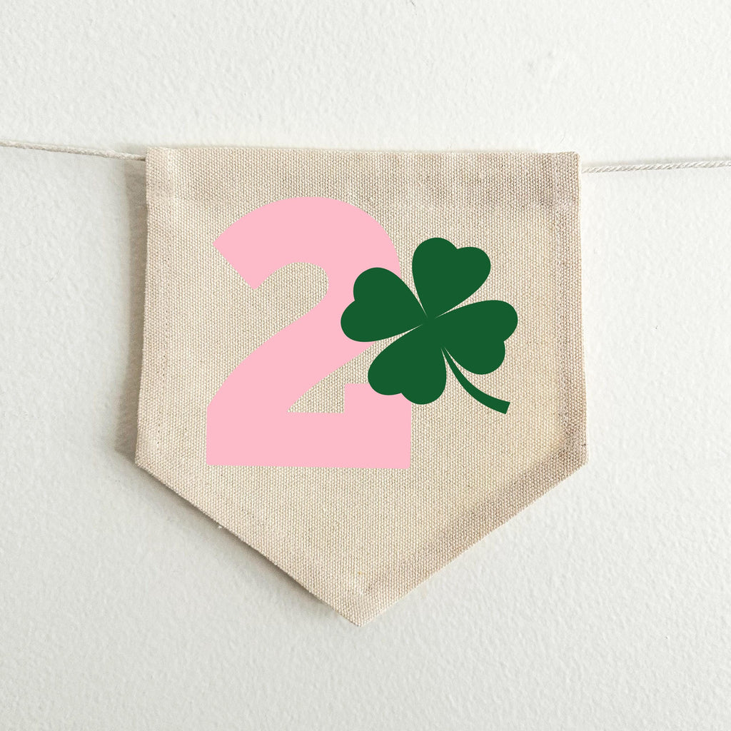 St. Patrick's Day 2nd Birthday Tassel Banner, Two Lucky Highchair Decoration, Shamrock Second Birthday Party Sign