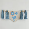 Donut 1st Birthday Party Decorations, Sweet One First Birthday, Blue Doughnut High Chair Banner