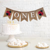 Ladybug Birthday Decorations | First Birthday Decor | High Chair Banner | Cake Smash | Baby Girl 1st Birthday Decoration
