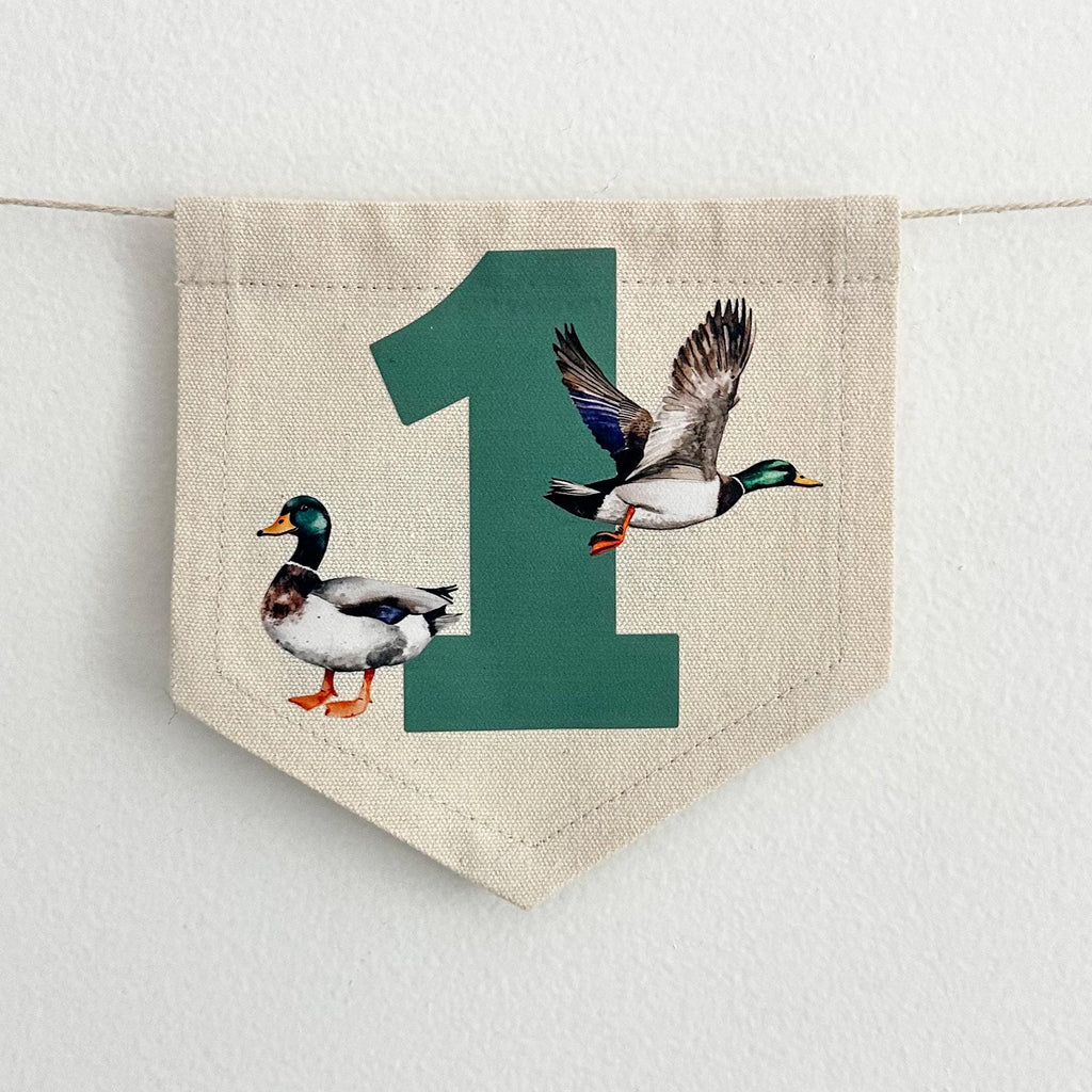 Duck Birthday, First Birthday Decorations, One Lucky Duck, High Chair Banner, One Banner, Party Decorations for Boys, Tassel Garland