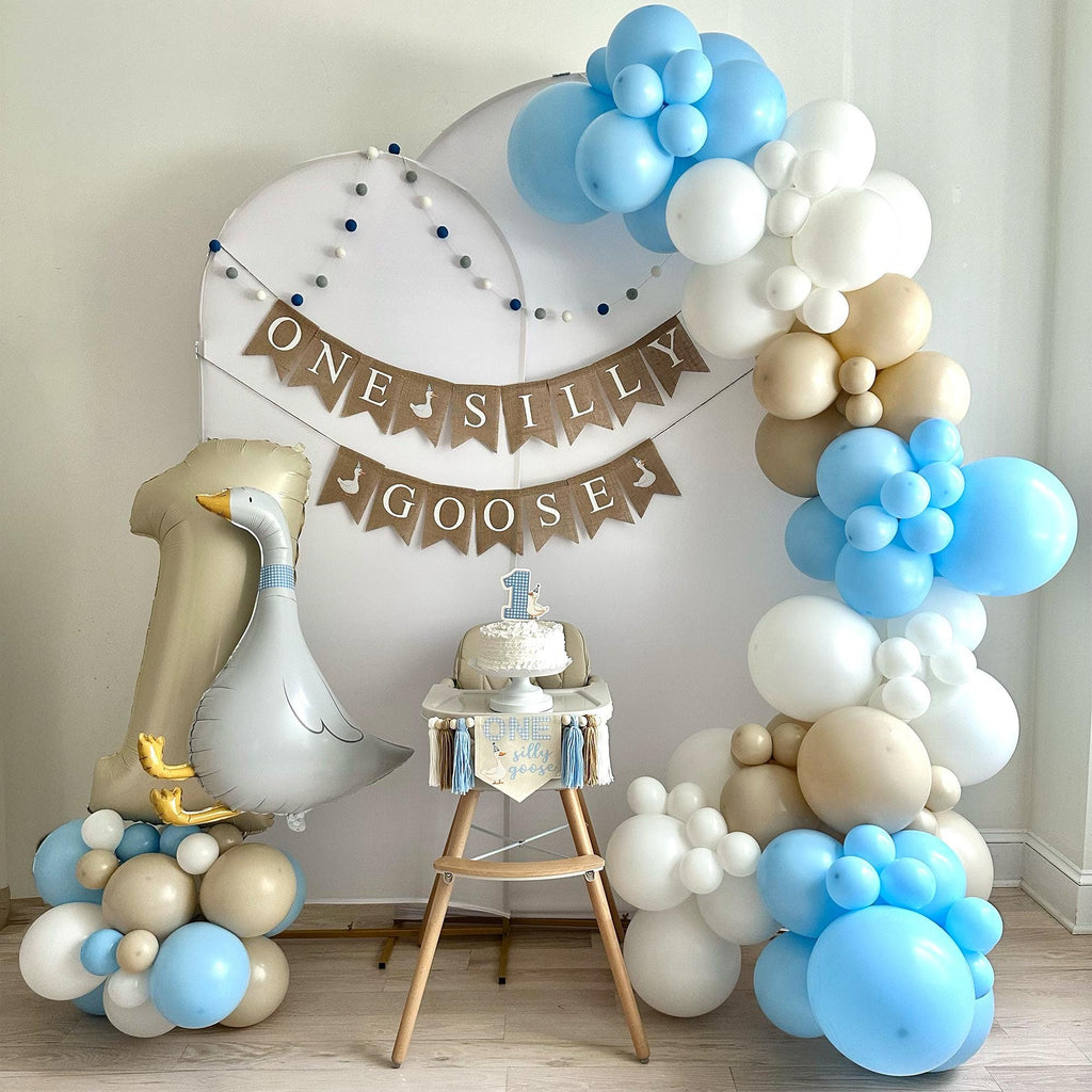 One Silly Goose | First Birthday Decorations | Vintage Goose Party | Boy 1st Birthday | Silly Goose Birthday Party Kit