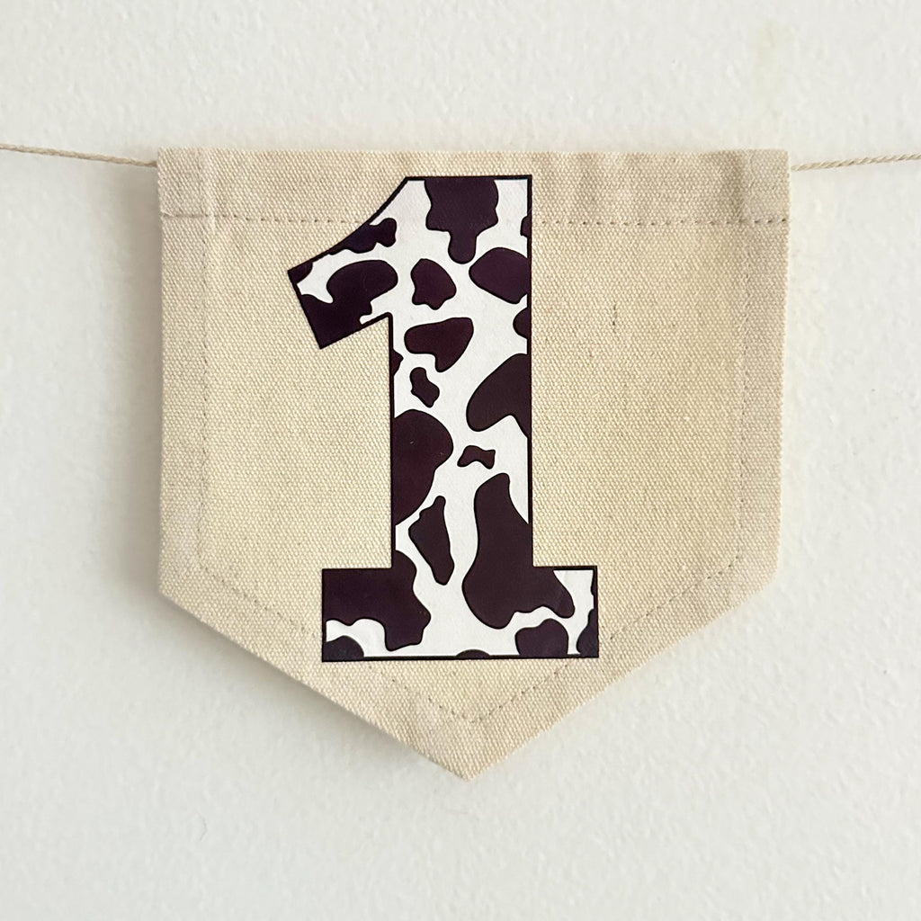 My 1st Rodeo High Chair Banner | Cowboy First Birthday | Western Cake Smash Party | Cowgirl Cake Smash Decor | Tassel Garland