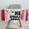 Halloween 1st Birthday Party Decorations | One Spooky Ghoul First Birthday