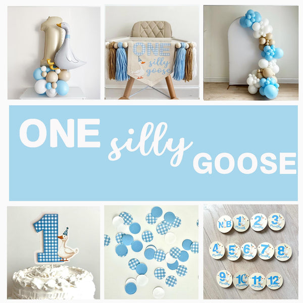 One Silly Goose | First Birthday Decorations | Vintage Goose Party | Boy 1st Birthday | Silly Goose Birthday Party Kit