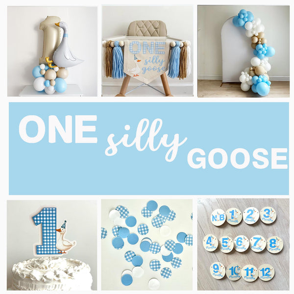 One Silly Goose | First Birthday Decorations | Vintage Goose Party | Boy 1st Birthday | Silly Goose Birthday Party Kit