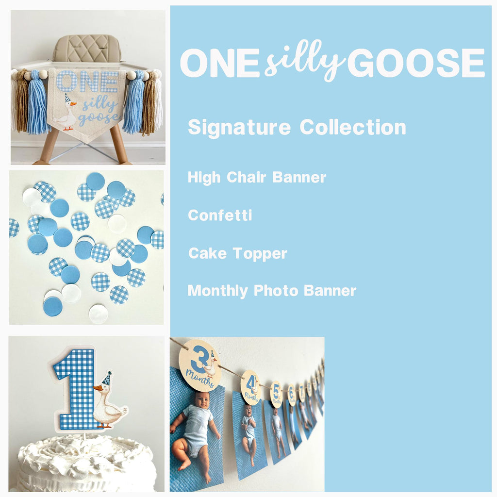 One Silly Goose | First Birthday Decorations | Vintage Goose Party | Boy 1st Birthday | Silly Goose Birthday Party Kit