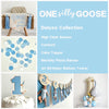 One Silly Goose | First Birthday Decorations | Boy 1st Birthday | Silly Goose Birthday Party Kit | Vintage Goose Party