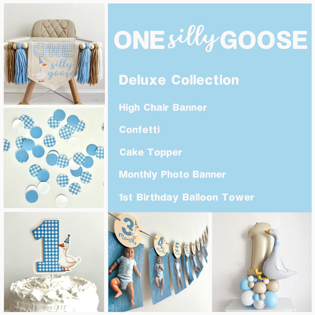 One Silly Goose | First Birthday Decorations | Boy 1st Birthday | Silly Goose Birthday Party Kit | Vintage Goose Party