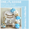 One Silly Goose | First Birthday Decorations | Vintage Goose Party | Boy 1st Birthday | Silly Goose Birthday Party Kit