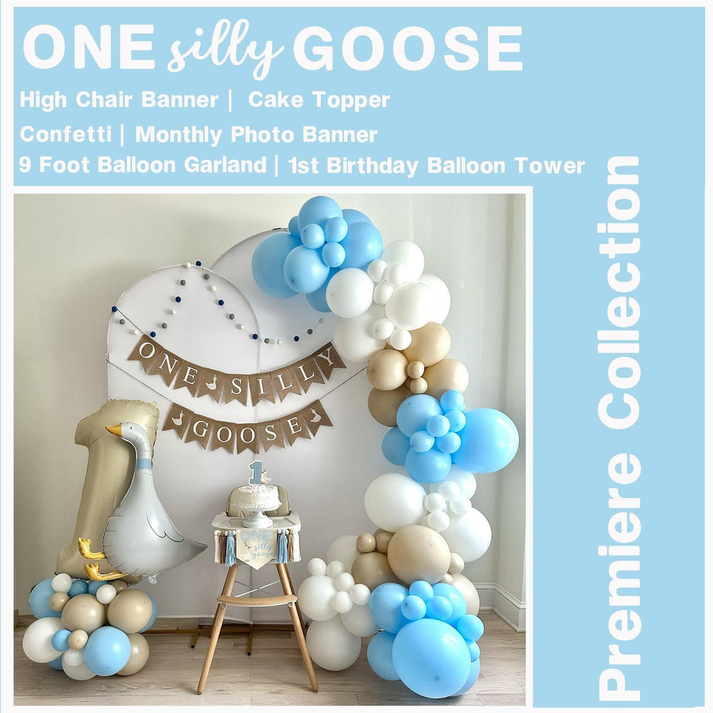 One Silly Goose | First Birthday Decorations | Boy 1st Birthday | Silly Goose Birthday Party Kit | Vintage Goose Party