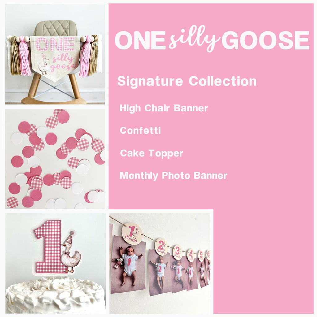One Silly Goose 1st Birthday | Girl Party Decorations | First Birthday Party | Pink Balloon Arch | 12 Month Photo Banner | Goose Party Kit