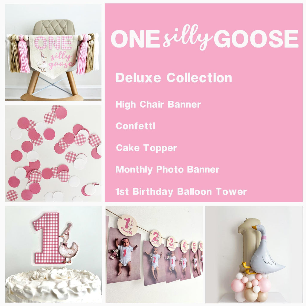 One Silly Goose 1st Birthday | Girl Party Decoration | First Birthday Party | Goose Balloon Arch | 12 Month Photo Banner | High Chair Banner