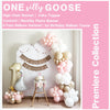 One Silly Goose 1st Birthday | Girl Party Decoration | First Birthday Party | Goose Balloon Arch | 12 Month Photo Banner | High Chair Banner