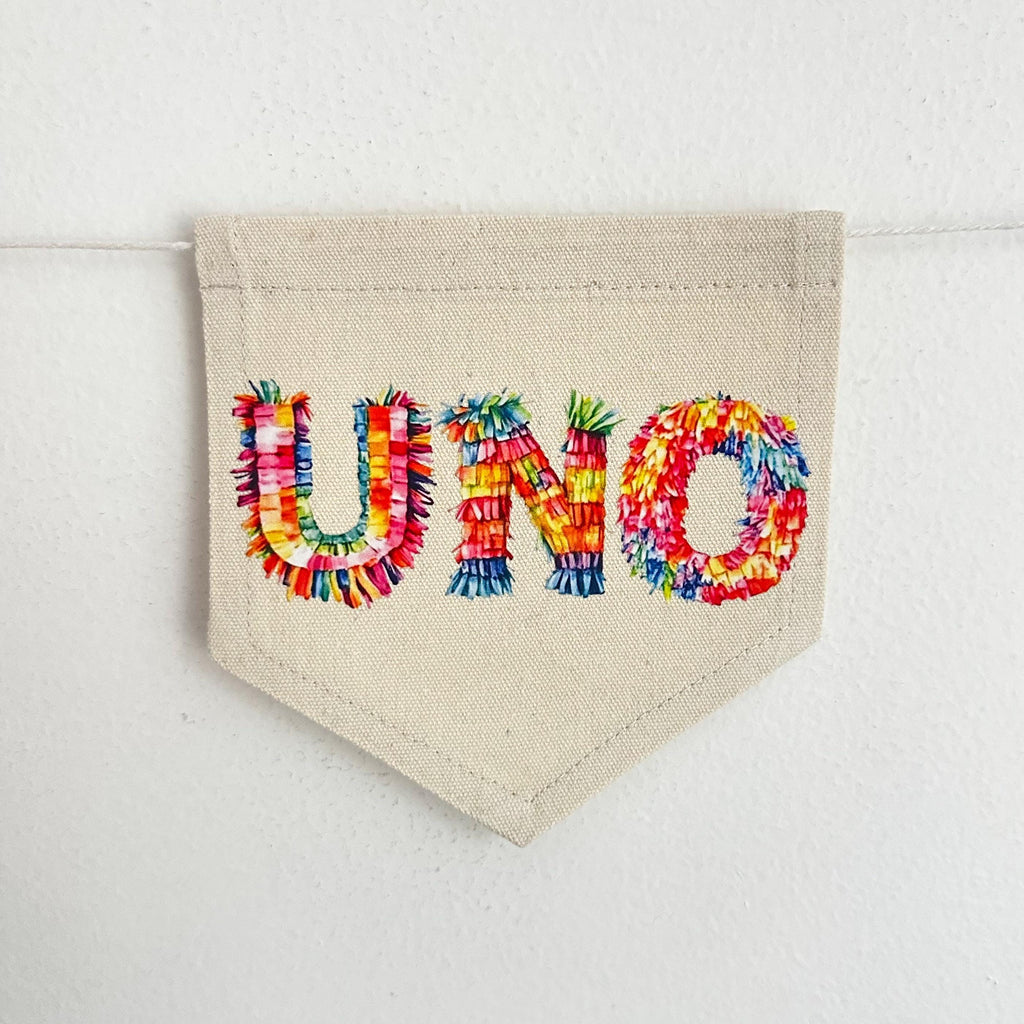 First Birthday Decorations, Uno High Chair Banner, Fiesta Party Decorations, Cinco de Mayo Birthday, One Banner, Cake Smash Pennant