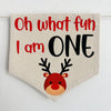 Reindeer Banner, Christmas First Birthday, Oh What Fun 1st Birthday, High Chair Banner, Cake Smash Props, One Year Old Party