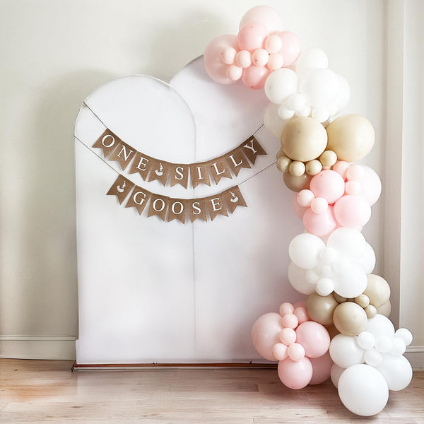 One Silly Goose 1st Birthday | Girl Party Decoration | First Birthday Party