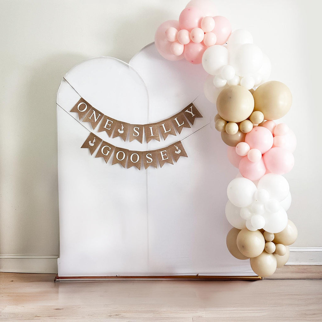 One Silly Goose 1st Birthday | Girl Party Decoration | First Birthday Party