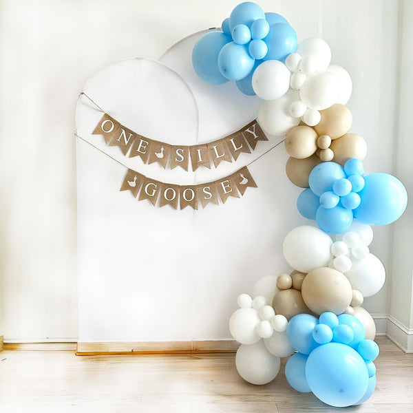 One Silly Goose 1st Birthday | Boy Party Decoration | First Birthday Party