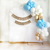 One Silly Goose 1st Birthday | Boy Party Decoration | First Birthday Party