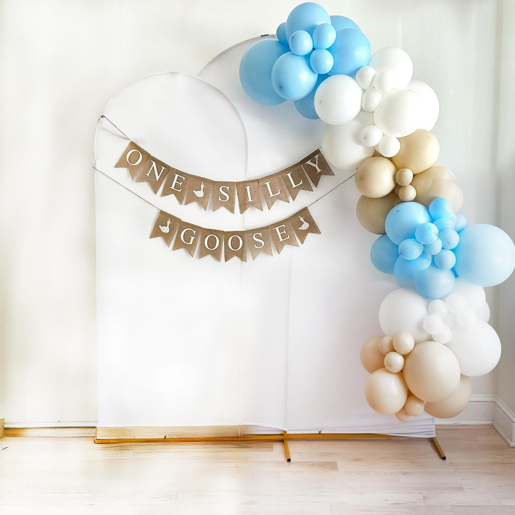 One Silly Goose 1st Birthday | Boy Party Decoration | First Birthday Party