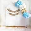 One Silly Goose 1st Birthday | Boy Party Decoration | First Birthday Party