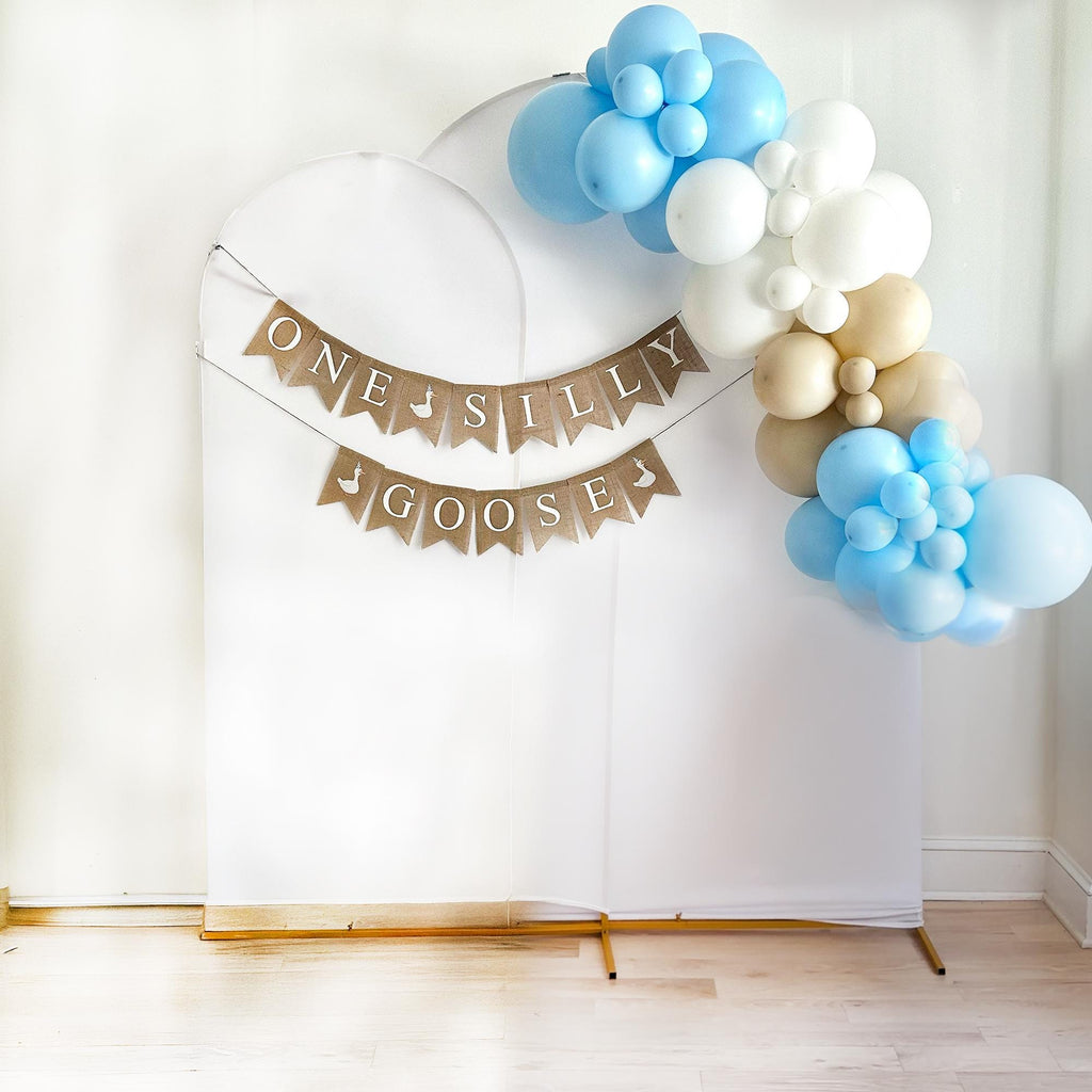 One Silly Goose 1st Birthday | Boy Party Decoration | First Birthday Party