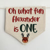 Christmas First Birthday, Oh What Fun 1st Birthday, Personalized First Birthday, High Chair Banner, Reindeer One Banner, Cake Smash Props