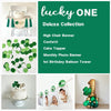 Lucky One First Birthday | St Patrick's Day Birthday | Boy First Birthday Kit | Shamrock Party Decorations | St Paddy's Day | Balloon Arch