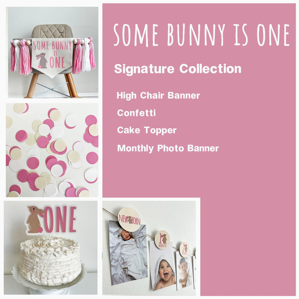 Some Bunny Is One First Birthday | Easter 1st Birthday Party Decorations | Spring First Birthday Tassel Sign | Pink Rabbit Cake Smash Decor