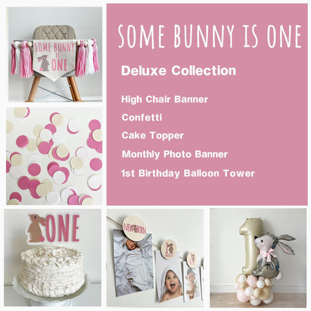 Some Bunny Is One First Birthday | Easter 1st Birthday Party Decorations | Spring First Birthday Tassel Sign