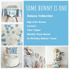 Some Bunny Is One First Birthday Bundle | Easter 1st Birthday Party Decorations | Boys Cake Smash Decor