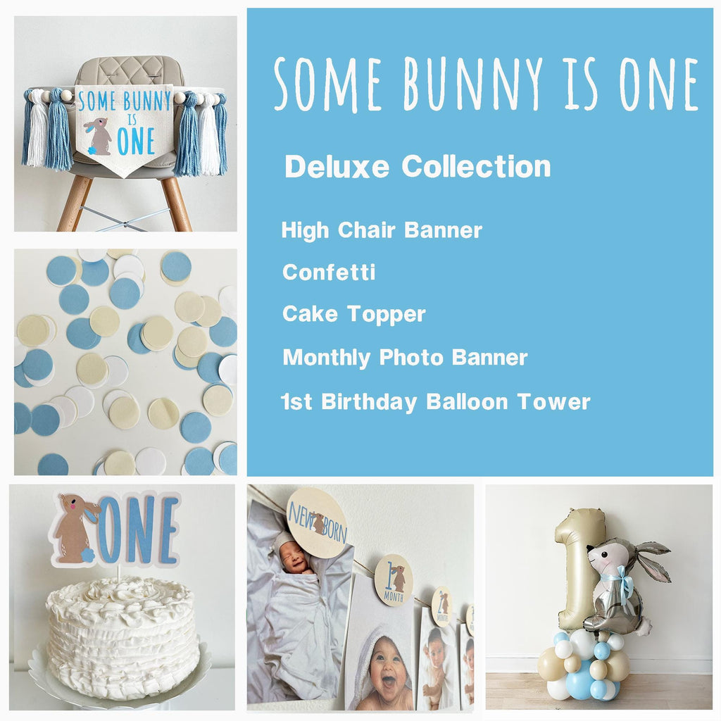 Some Bunny Is One First Birthday Bundle | Easter 1st Birthday Party Decorations | Boys Cake Smash Decor